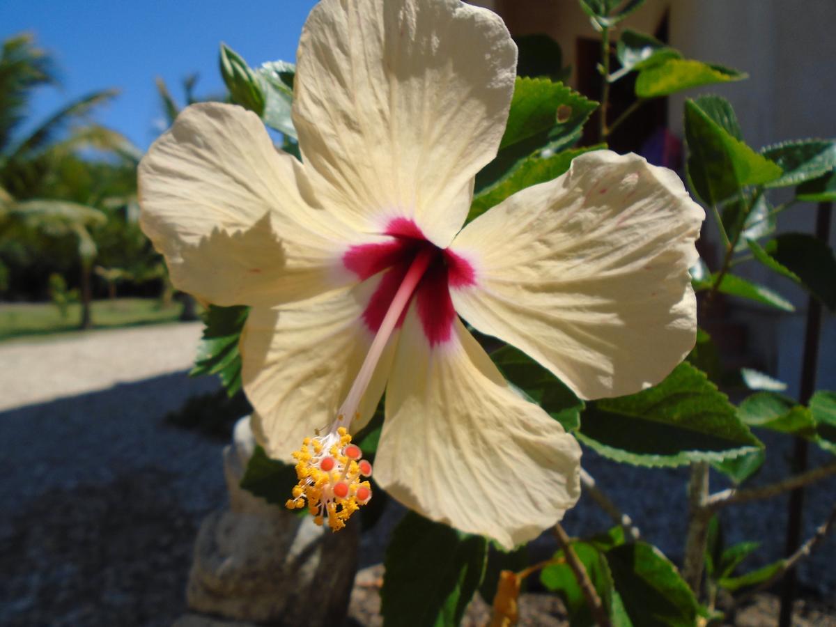 Serenity Sands Corozal Εξωτερικό φωτογραφία