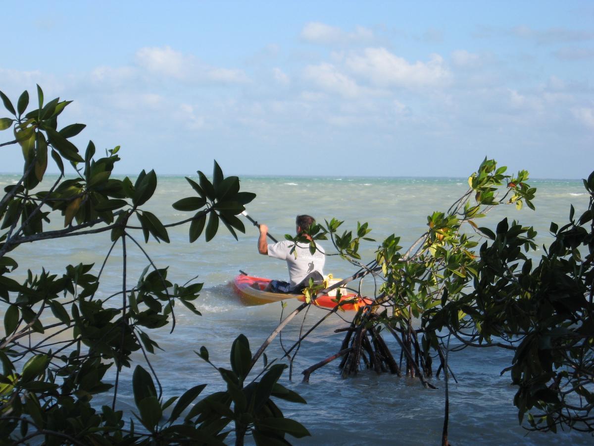Serenity Sands Corozal Εξωτερικό φωτογραφία